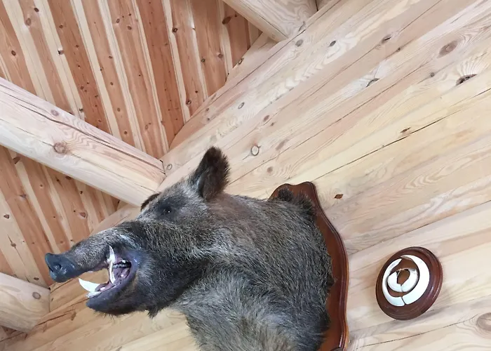 Bed & Breakfast Grana Bryggeri