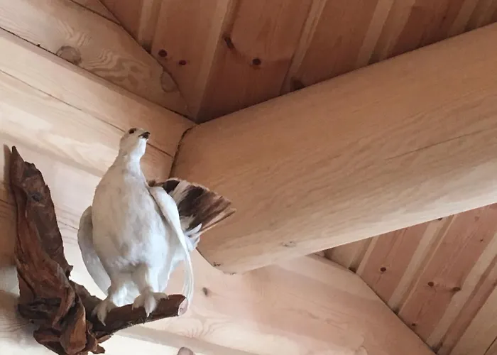 Grana Bryggeri 2* Snåsa